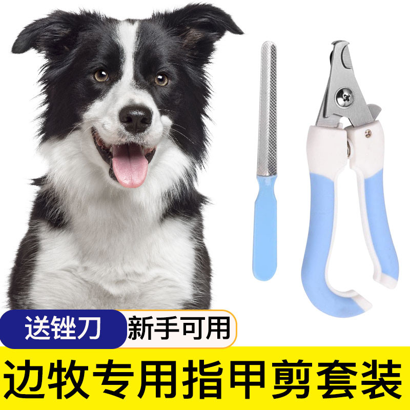 Cortador de Unhas Especial para Border Collie, Moedor de Unhas, Cortador de Unhas Especial, Cortadores de Unhas, Suprime