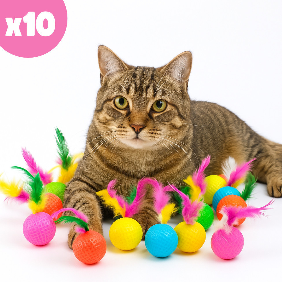 Kit 10 Bolinha Para Cães E Gatos Com Guizos e Pena Produto Brinquedo para Gatinhos Diversão