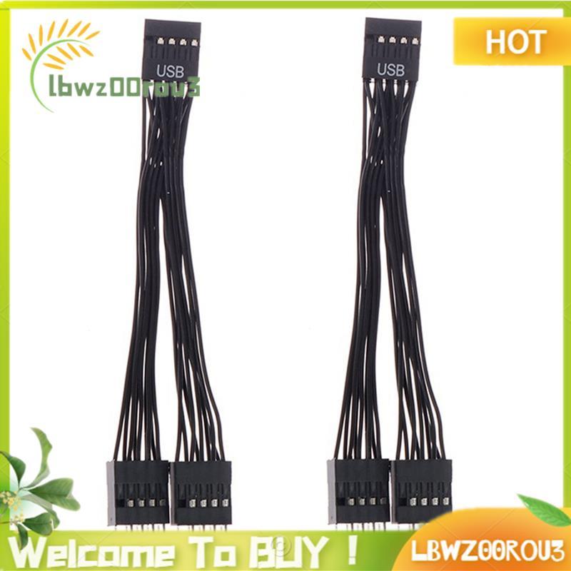 2 Pçs Computador Placa-Mãe Cabo De Extensão USB 9 Pinos 1 Fêmea Para 2 Macho Y Divisor Áudio HD PC 10cm