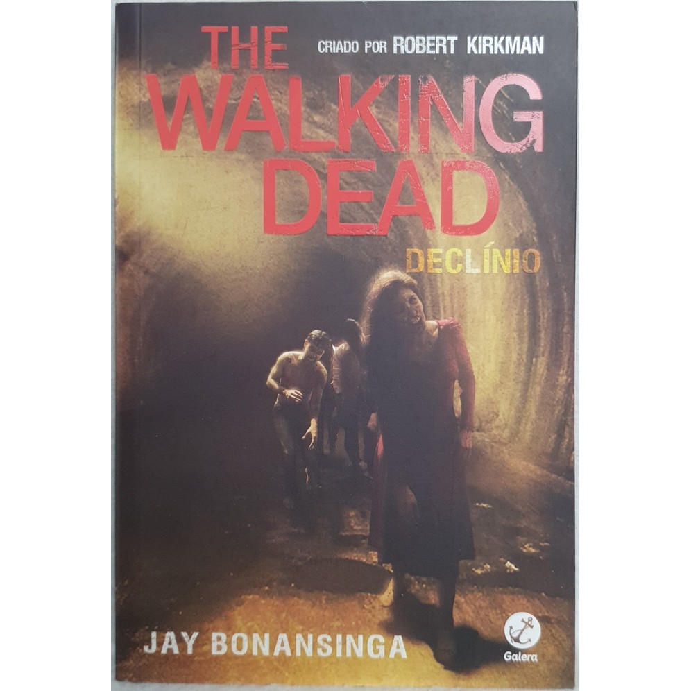 Livro The Walking Dead - Declínio - Robert Kirkman e Jay Bonansinga - Editora Galera Record