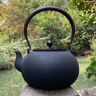 Chaleira de ferro fundido japonesa artesanal, chaleira de ferro cru, sem revestimento, acessórios para casa, chaleira de