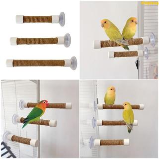 Pet11 Papagaios Poleiro Suporte Pássaro Ventosa Gaiola Balanço Mascar Haste Playstand