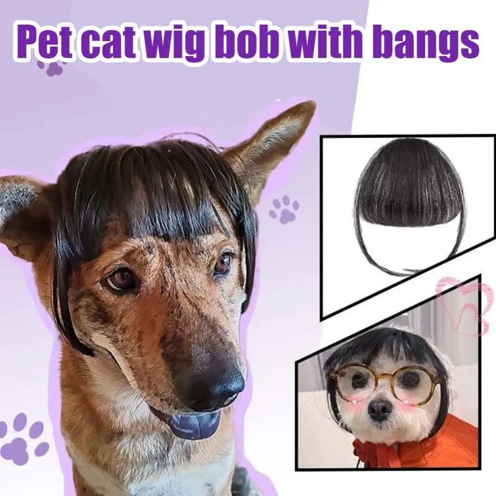 Acessórios Para Peruca De Gato , Cocar De Cachorro , Fantasia Engraçada , Cosplay Fofa , Animais De Estimação Adereços E