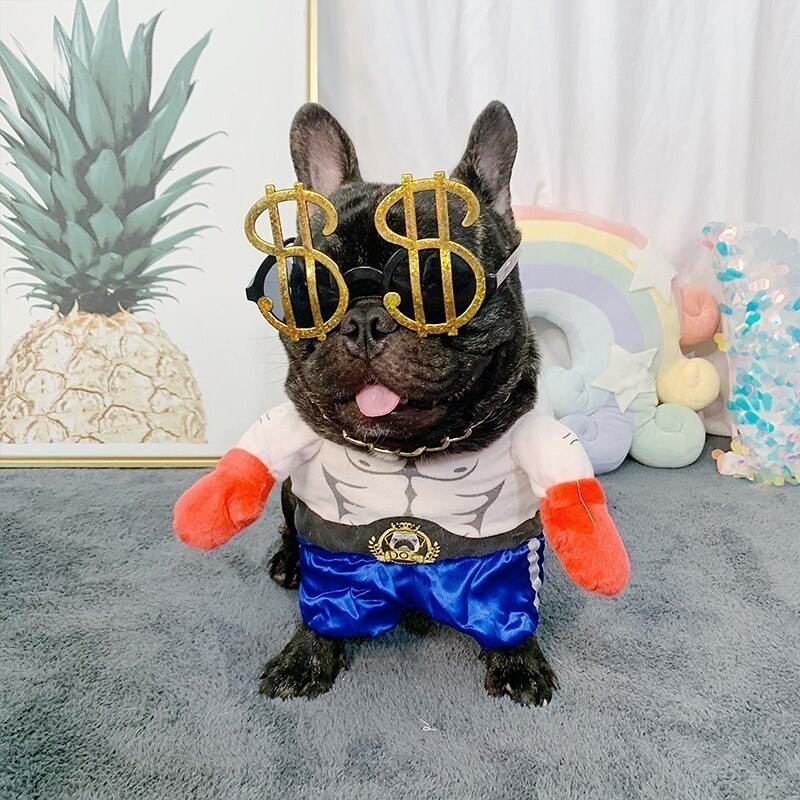 Óculos para Cães, Acessórios de Óculos, Óculos de Sol para Bulldog, Acessórios para Fotos, Brinquedos