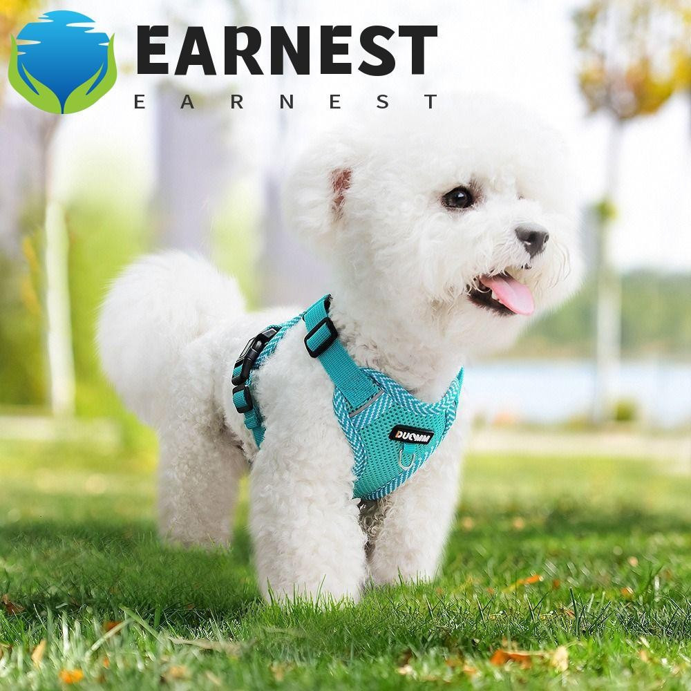 Conjunto De Arnês Para Cães EARNEST , Ajustável Com Colete De Caminhada Animais De Estimação Corda De Tração , De Jaquet