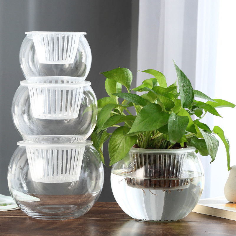 Vaso hidropônico planta vaso de vidro transparente recipiente verde endro vaso de flores peixe flor tanque Total ornamen