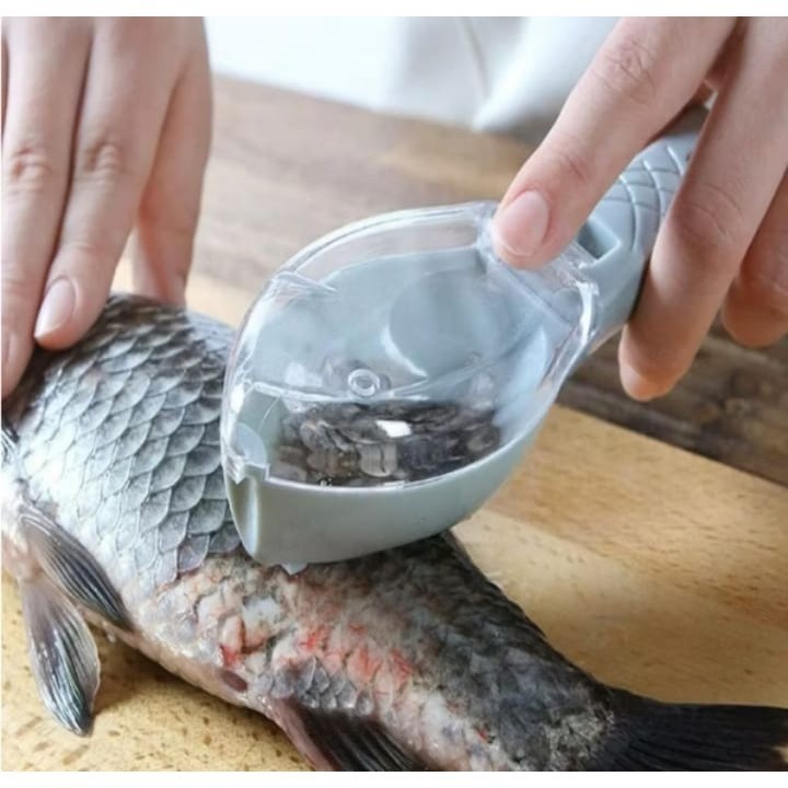 Raspador com coletor de escama de peixe/Retira escamas/DESCAMADOR de PEIXE