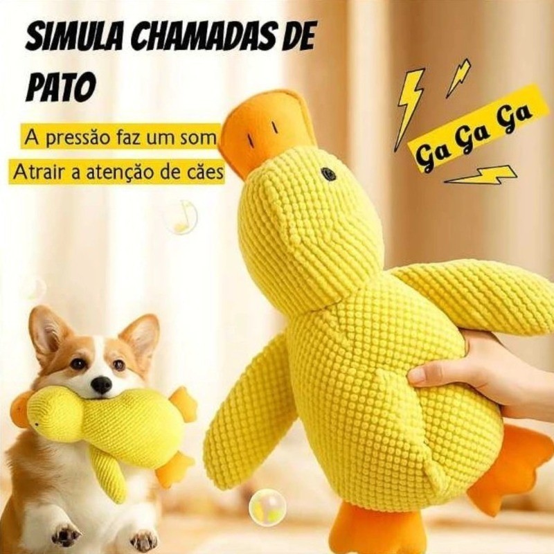 Brinquedo de Pelúcia Pato Ladrê para Cães; Brinquedo Dental e Urso de Pelúcia para Gastar Energia