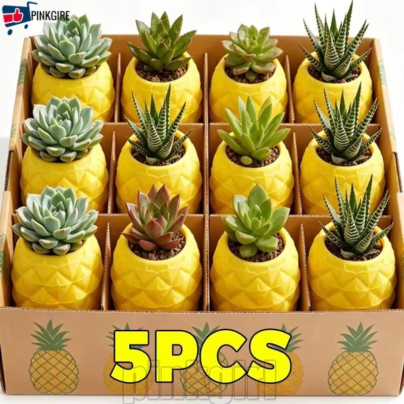 [Rdy Stk] 1/3/5 Unidades Vaso De Flores De Abacaxi Impresso Em 3D-Decoração De Casa-Jardinagem Plantas Forma Suculentas-