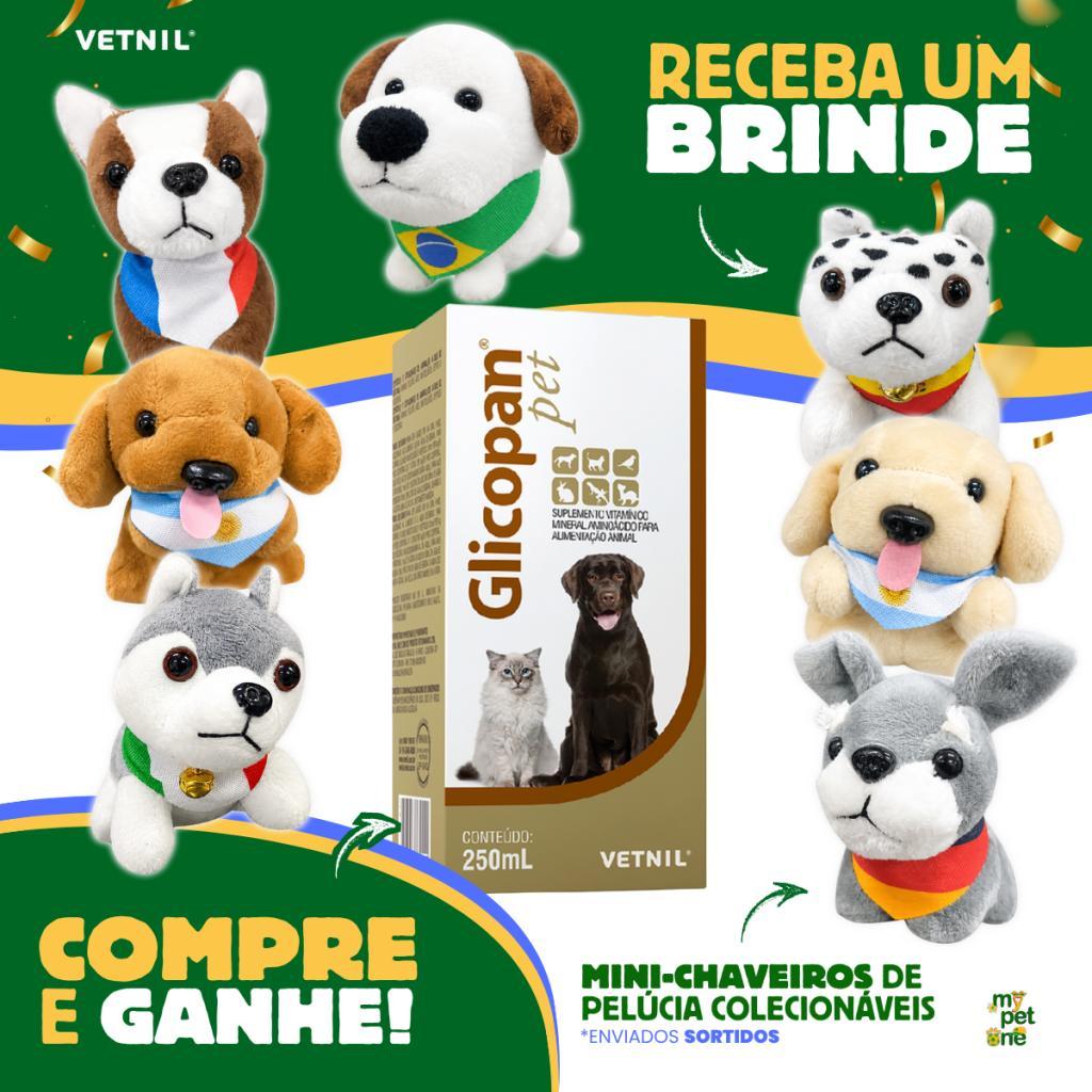 Glicopan Pet Gotas Vitaminico Vetnil 250mL + Brinde Mini-Chaveiro Copa do Mundo 2026