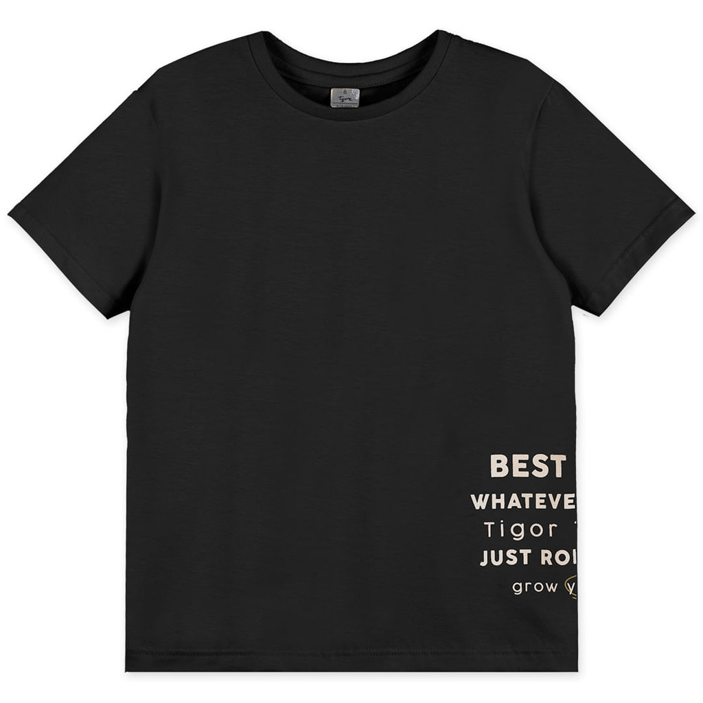 Camiseta Manga Curta Infantil Masculina Tigor T. Tigre em Oferta na Shopee