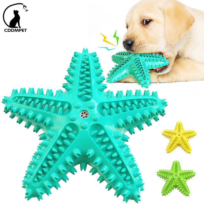 Estrela do Mar Voz Animal de Estimação Brinquedo Cachorro Molindo Barra de Dentes Escova Mastigar Brinquedos