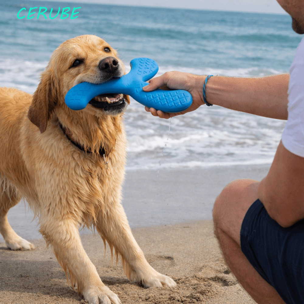 Brinquedos De Disco Voador CERUBE , Interativo Flutuante De EVA Para Animais De Estimação , Brinquedo De Treinamento Cãe