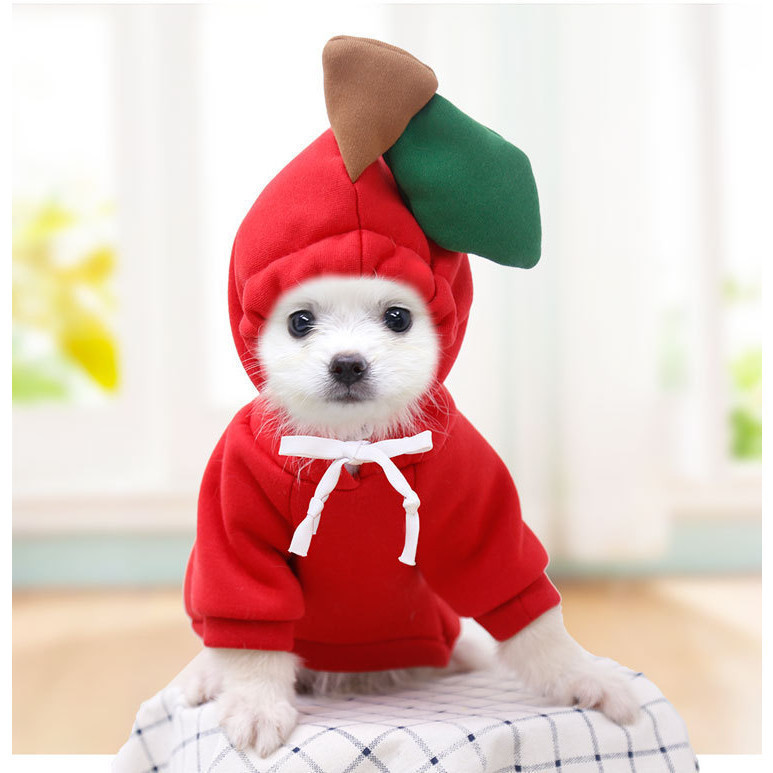 Cão Com Capuz-Cachorro Básico Camisola Casaco Bonito Sapo Forma Quente Jaqueta De Inverno Gato Tempo Frio Roupas Roupa O
