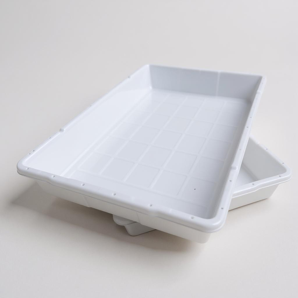 Câmara Fria para Açougue: Onde Comprar | BuscaProdutos