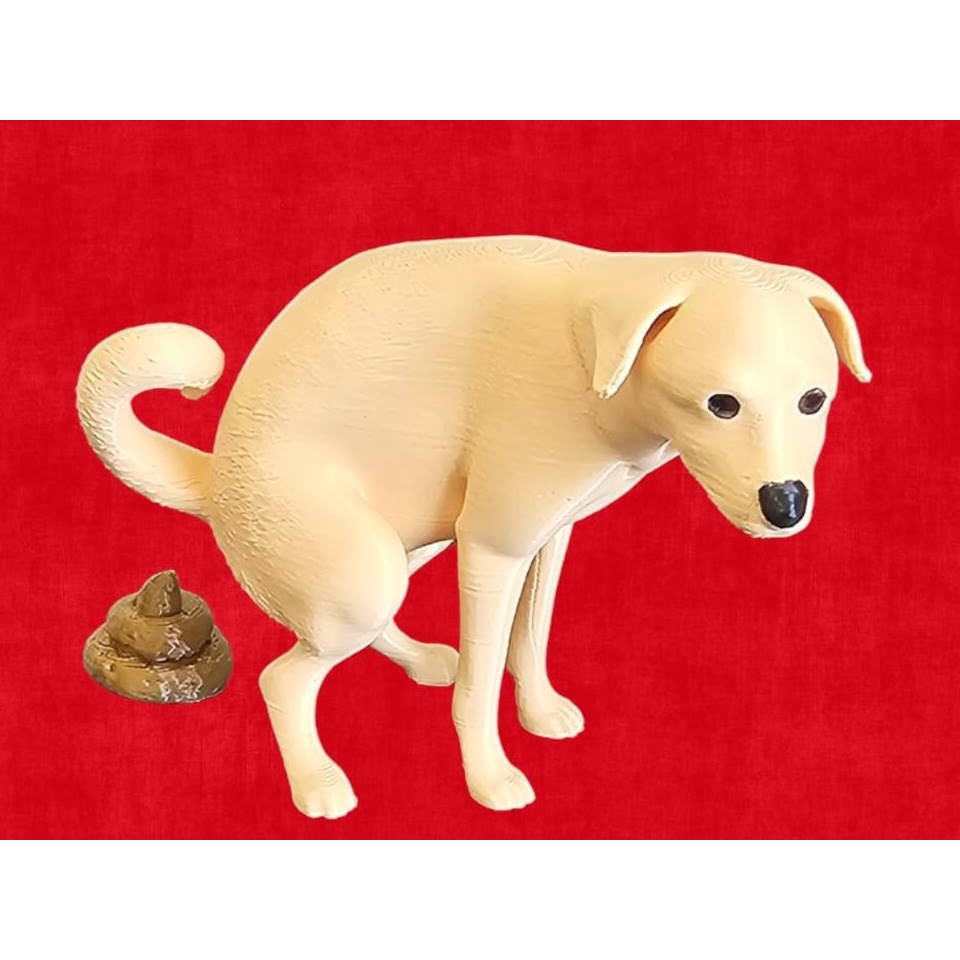 Cachorro Caramelo Cocô Decoração Divertida Para Toda Casa 3D em Oferta na Shopee