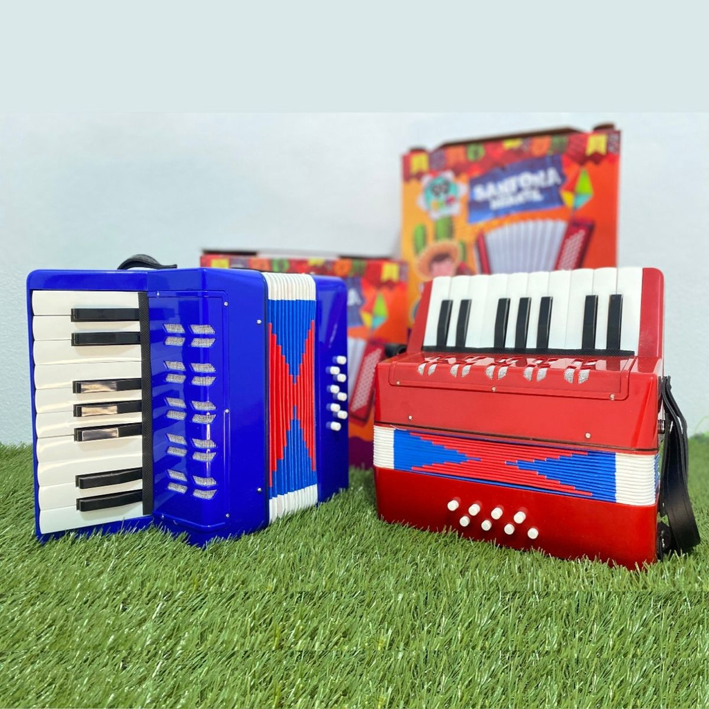 Acordeon Sanfona Gaita Infantil 8 Baixos 17 Teclas Brinquedo em Oferta na Shopee