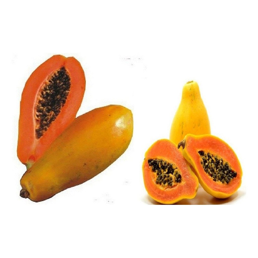 PROMOÇÃO PROMOÇÃO 40 Sementes Mamão Formosa + + MANUAL DE CULTIVO + MANUAL DE CULTIVO