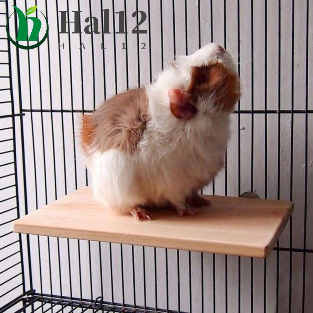 HALB Suporte Plataforma Esquilo Ratos Brinquedos Hamster Gaiola Calopsita Moagem Pássaro Poleiros