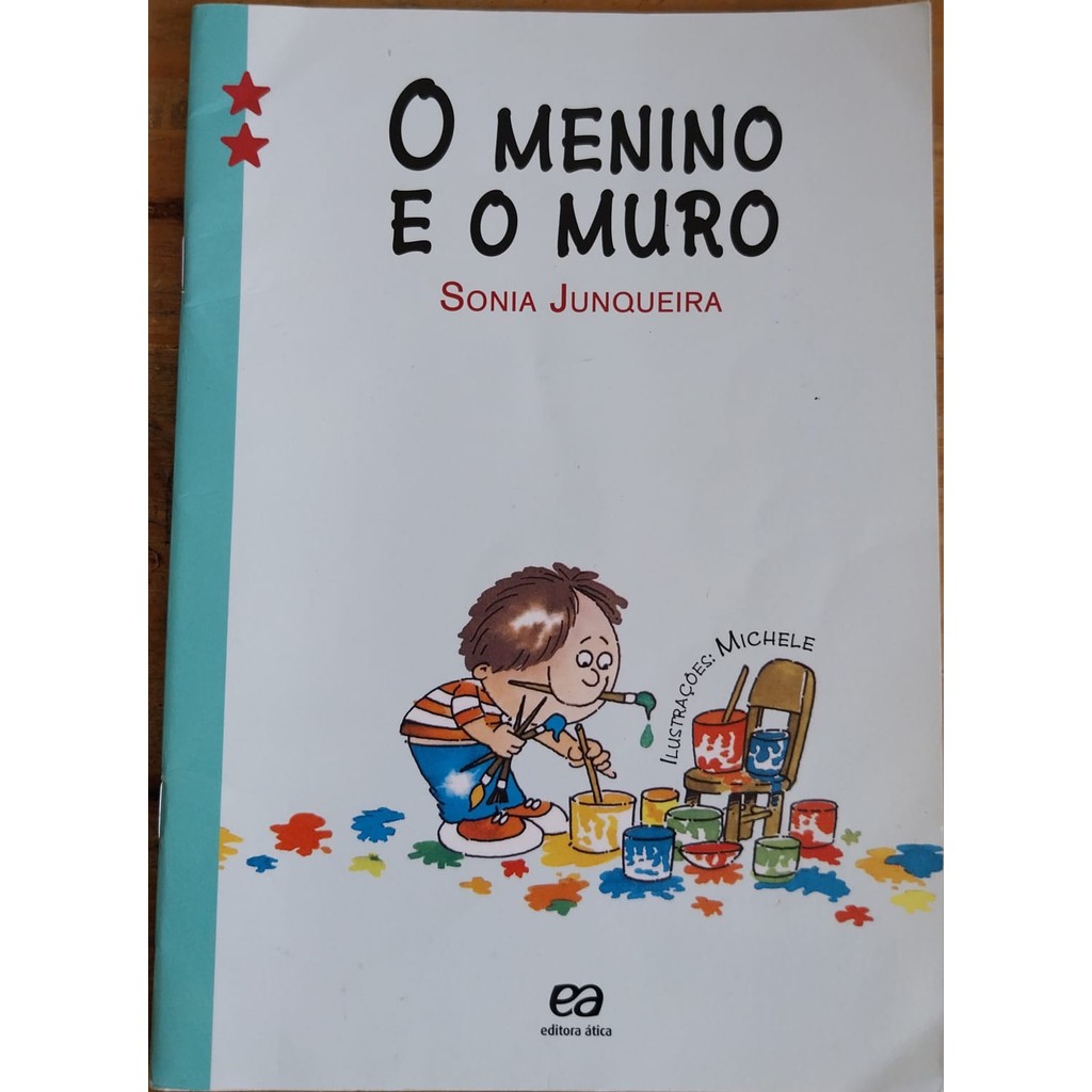 LIVRO, O MENINO E O MURO, SONIA JUNQUEIRA