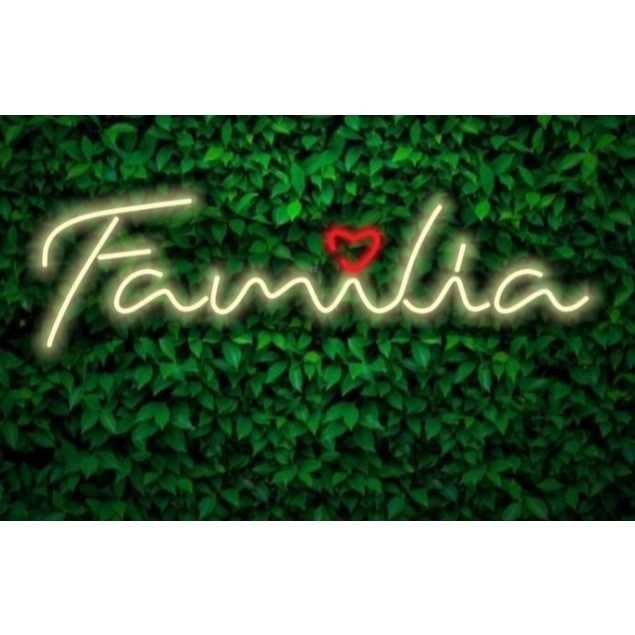 Placa Luminosa Neon Led Família tema neon 40x15cm