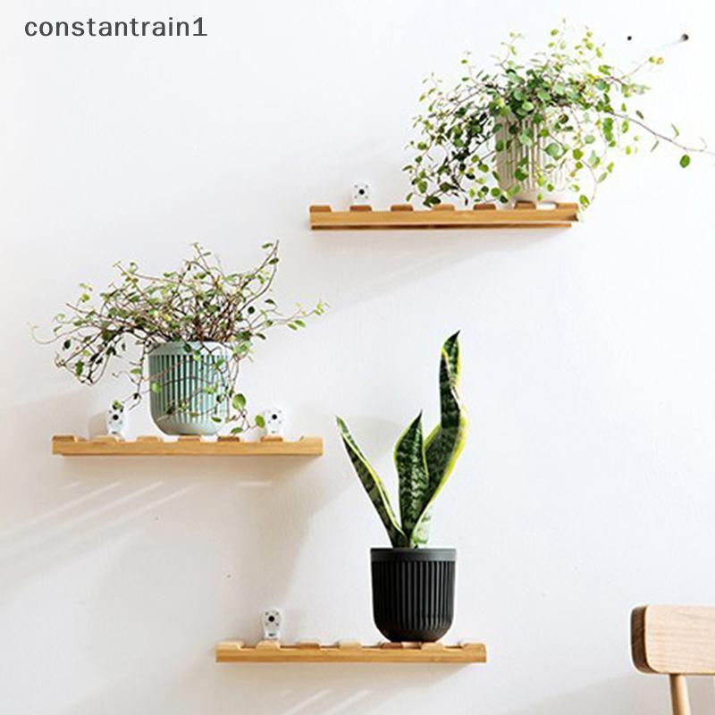 [CST] Suporte Para Plantas Suspensas De Camada Dupla Cesta De Plástico Água Preguiçosa Vaso De Flores De Parede [BR]