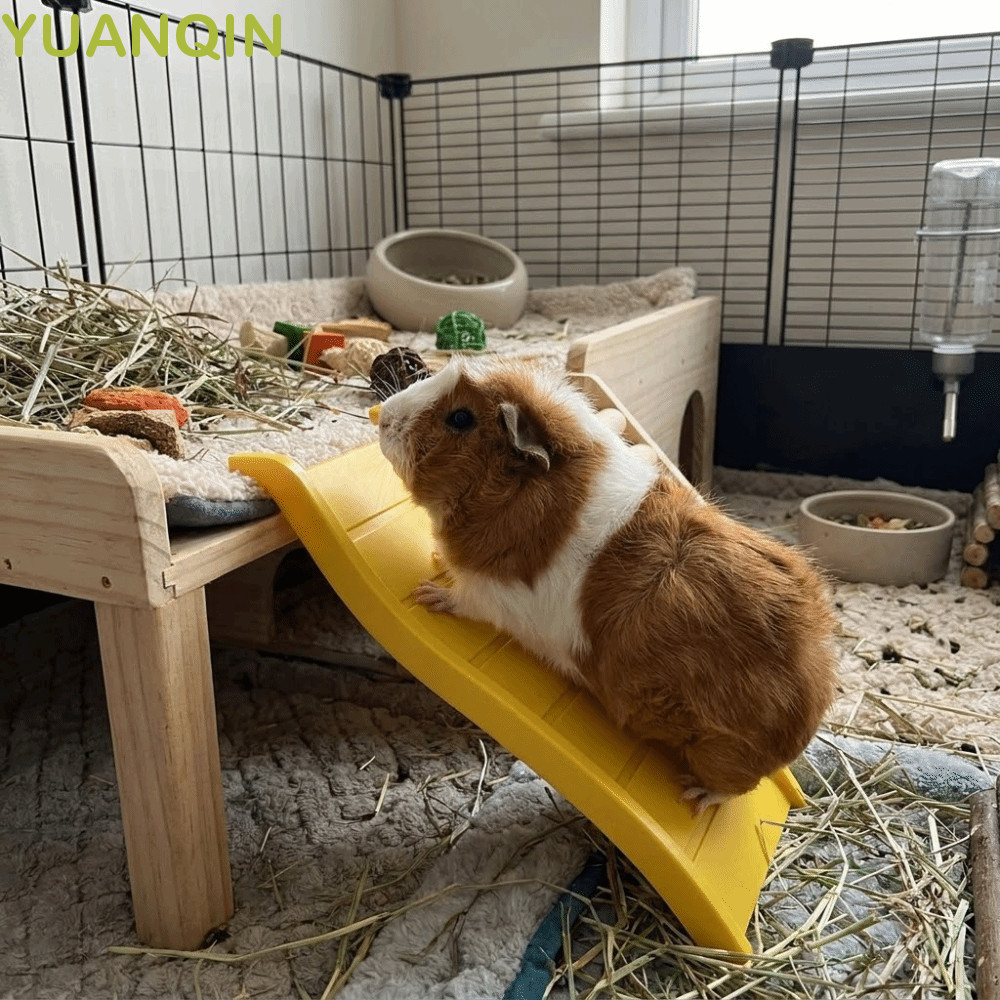 Escada De Escalada Para Hamster YUANQINZT , Interativa De Ouriço Em Forma De Onda , Brinquedo Colorido