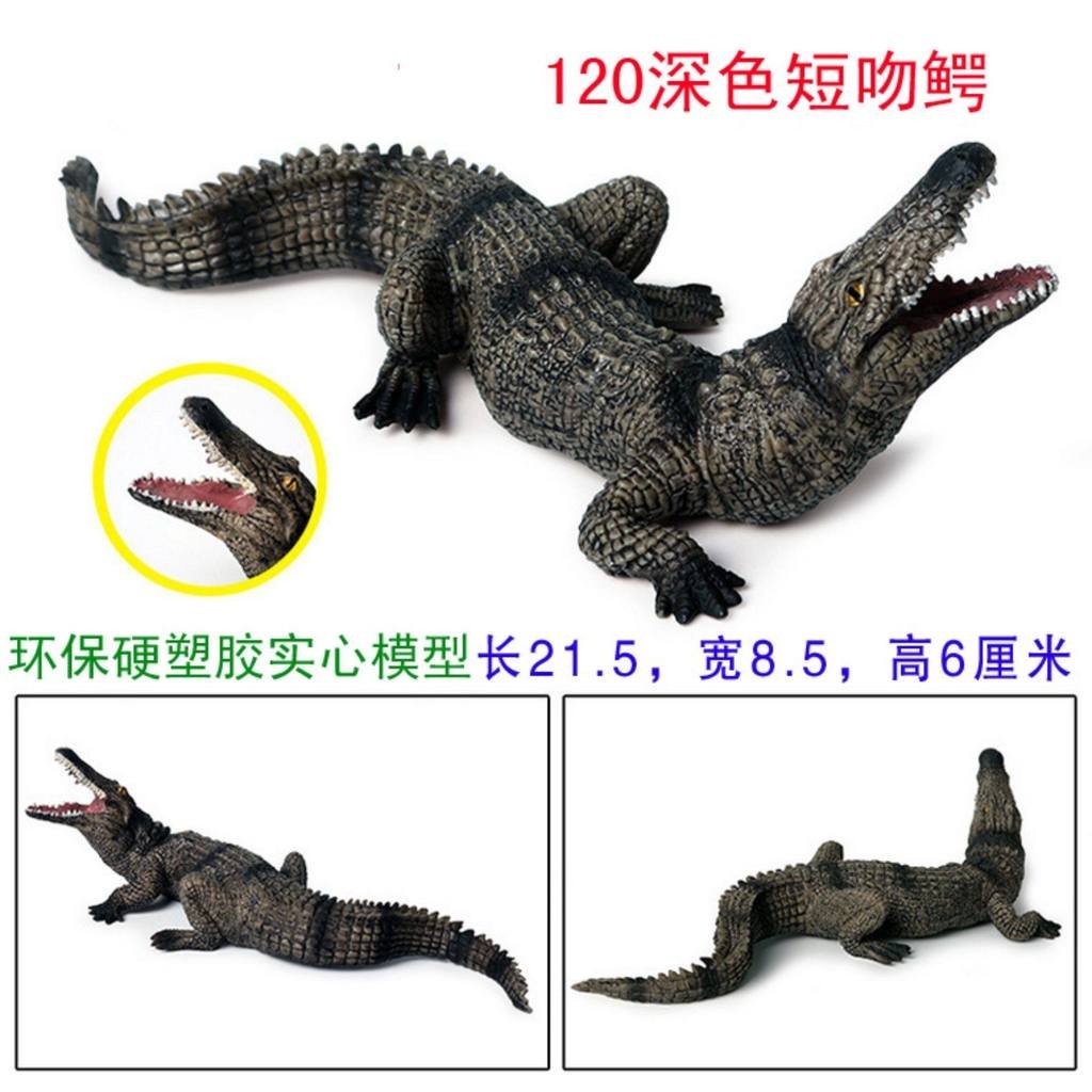 Crocodilo simulado, javali, jacaré, crocodilo de brinquedo de plástico, modelo de crocodilo de plástico rígido, crocodil