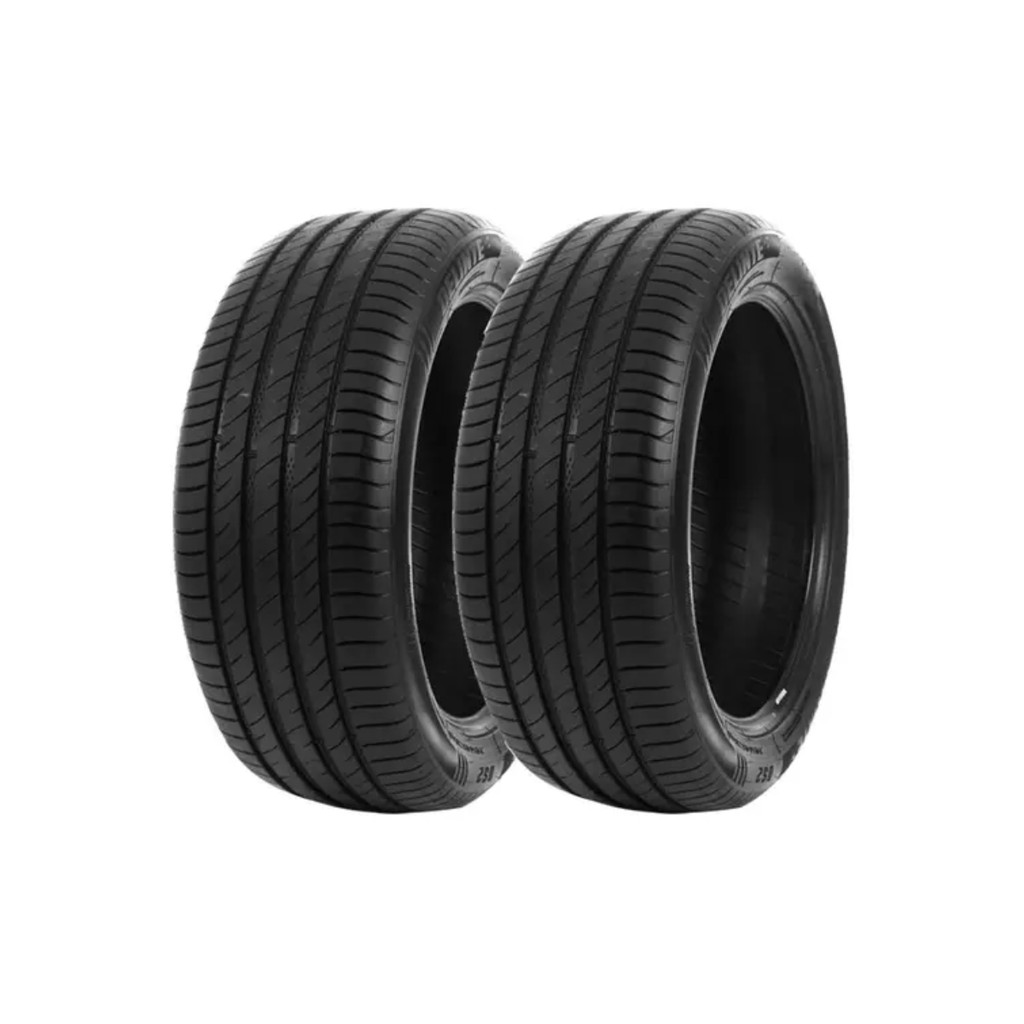 Kit 2 Pneus Delinte Aro 19 235/45 ZR19 95W XL DS2