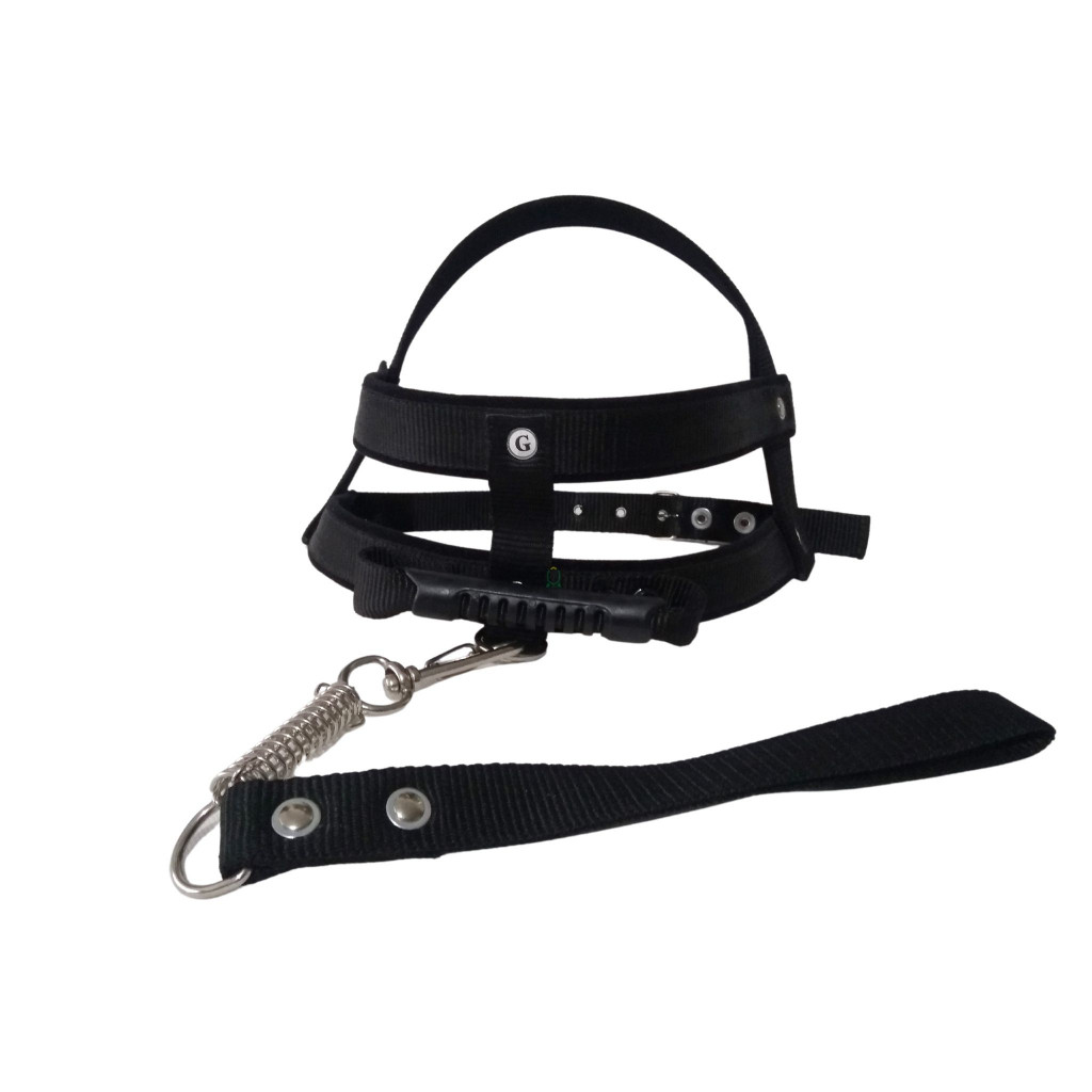 Peitoral pra cachorro lançamento camuflado com guia reforçado e regulagens confortável bom pra passeio ou adestramento