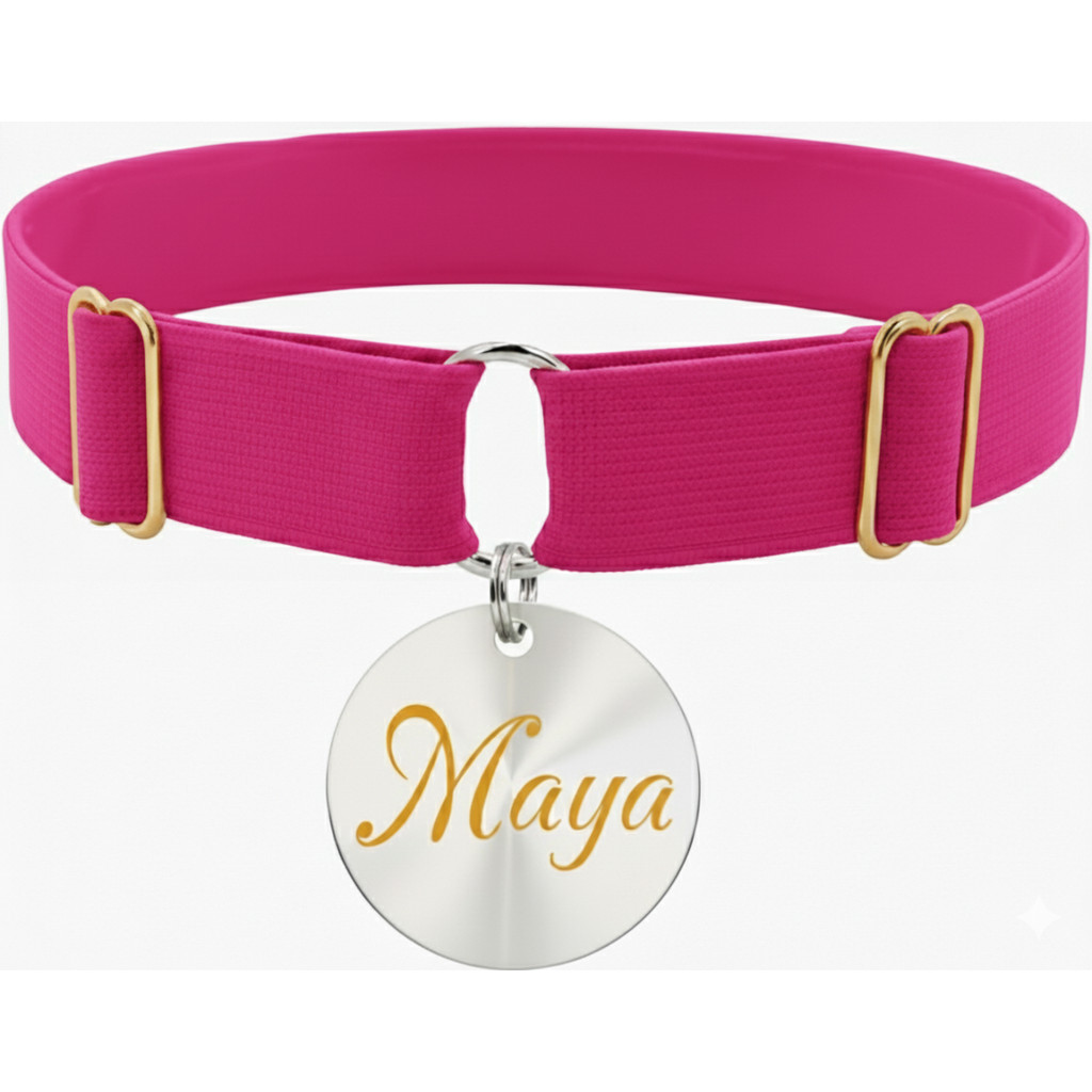 Coleira Elástica Confortável Plaqueta Identificação Cachorro