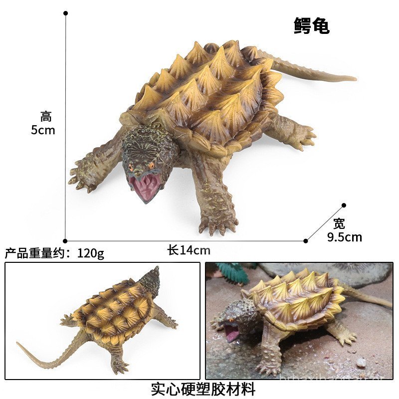 Modelo Realista de Tartaruga, Ornamento de Tartaruga, Tartaruga de Água Doce, Brinquedo Educacional Científico, Crocodil