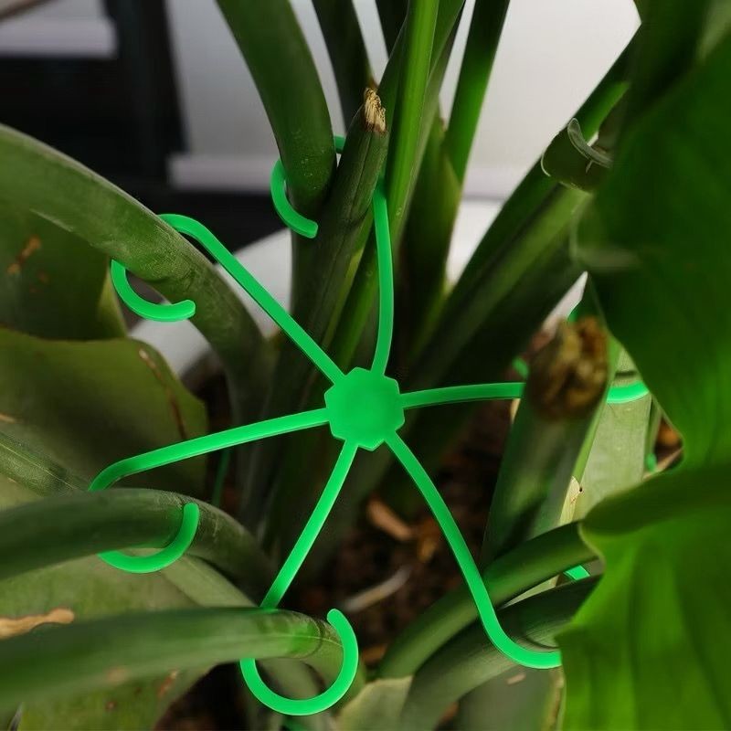 08 Clipe De Fixação grampo De Hastes Plantas Gancho regular em Oferta na Shopee