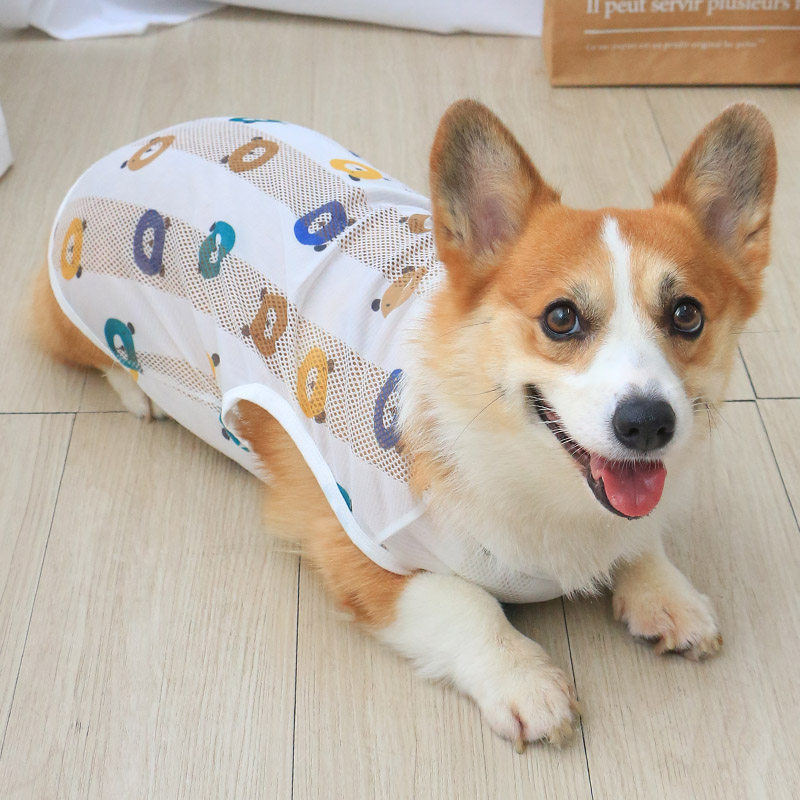 Roupas para cães de estimação estilo fino respirável Corgi Teddy colete verão primavera pequenos cachorros quatro estaçõ