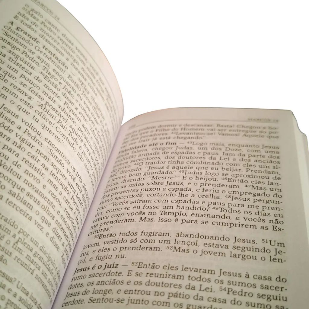 Bíblia Sagrada | Evangelhos | Edição Pastoral · foto 2