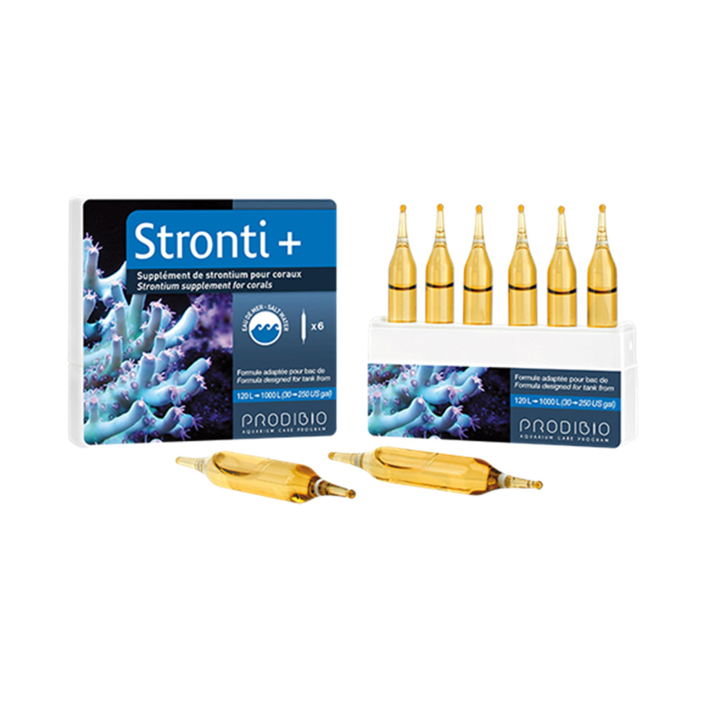 PRODIBIO STRONTI +06 AMPOLAS