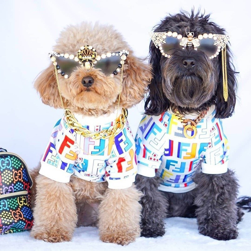 Camiseta Da Marca Dog Tide Roupas Para Cães Yorkshire Primavera E Verão Na Europa Nos Estados Unidos Camisa De Animais D