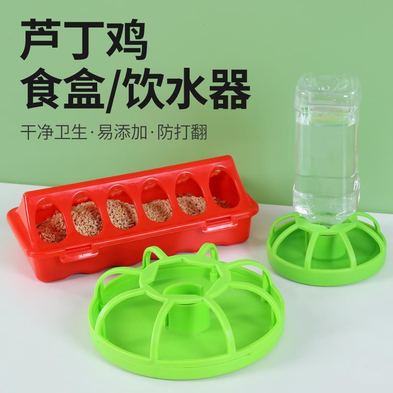 Fonte potável de água potável para pintinhos, pequena fonte automática para beber, alimentador de codorna, tanque de com