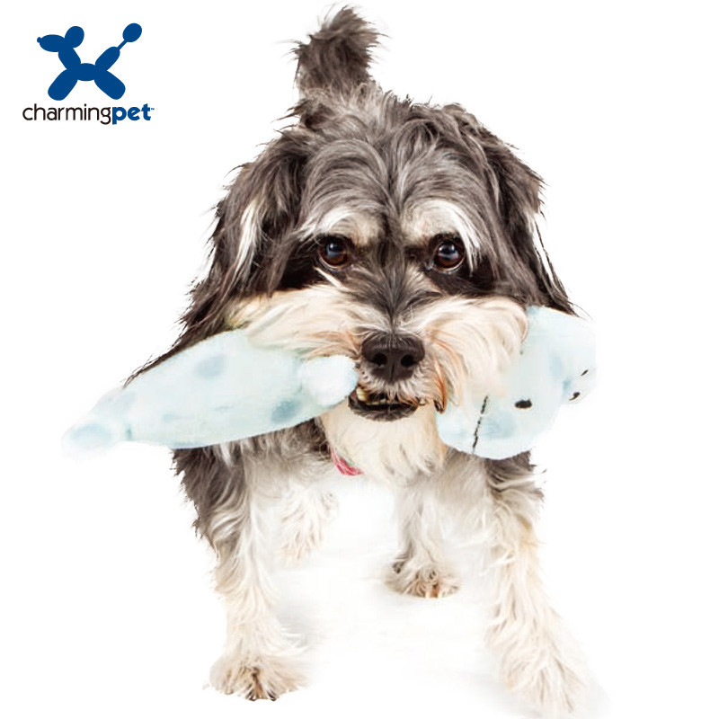 CharmingPet Dog Toys Suprimentos para animais de estimação Brinquedos de pelúcia Teddy Golden Retriever Brinquedos para