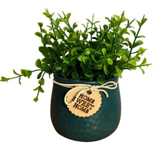 Arranjo de Verdinho Eucalipto em Vaso de Cerâmica Home em Oferta na Shopee