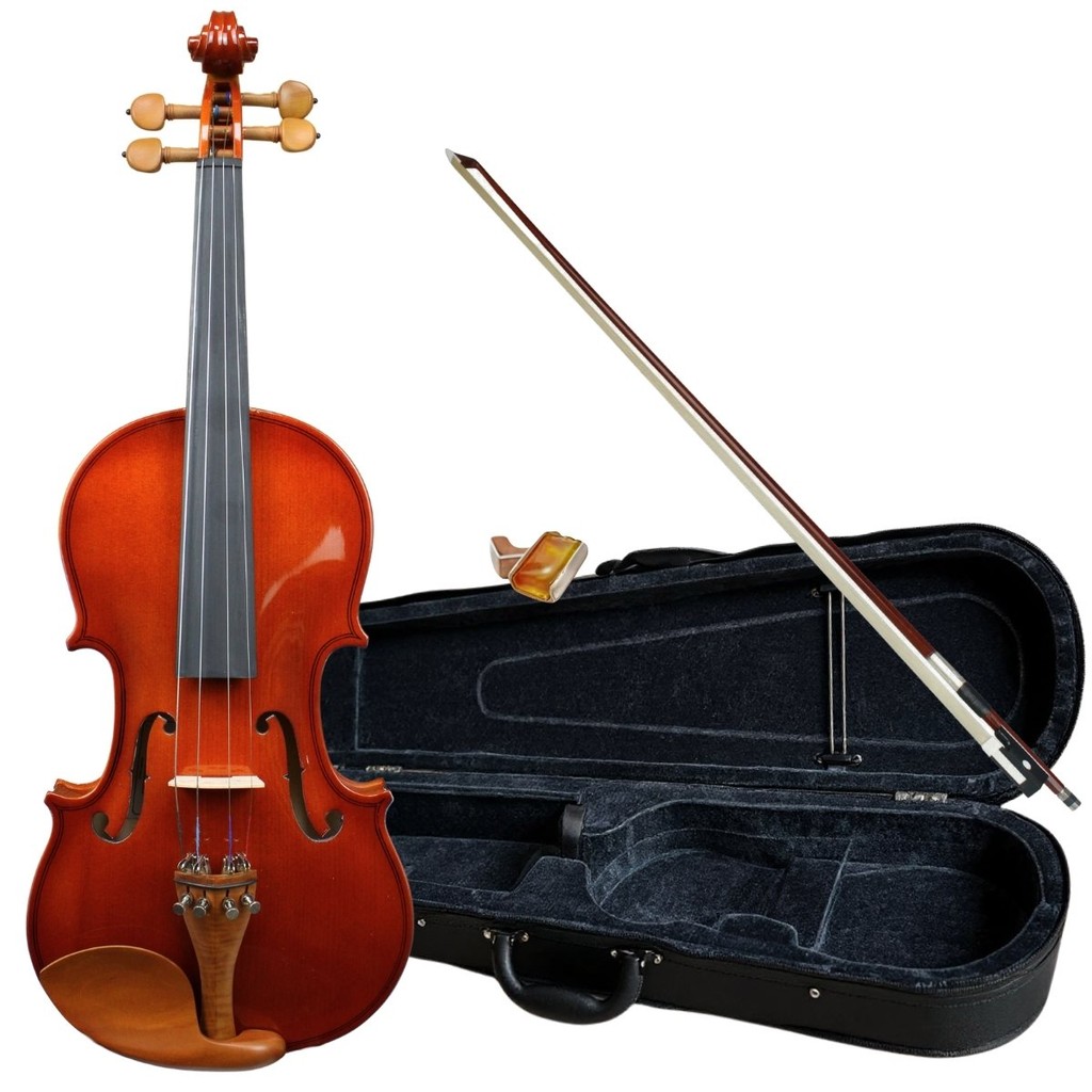 Violino Gvl 4/4 Arco Giannini Iniciante Estudante Com Estojo