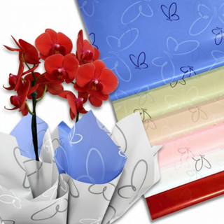 Kit Poli Sujinho Borboletas Emily 49x69cm Lançamento Butterfly em Oferta na Shopee