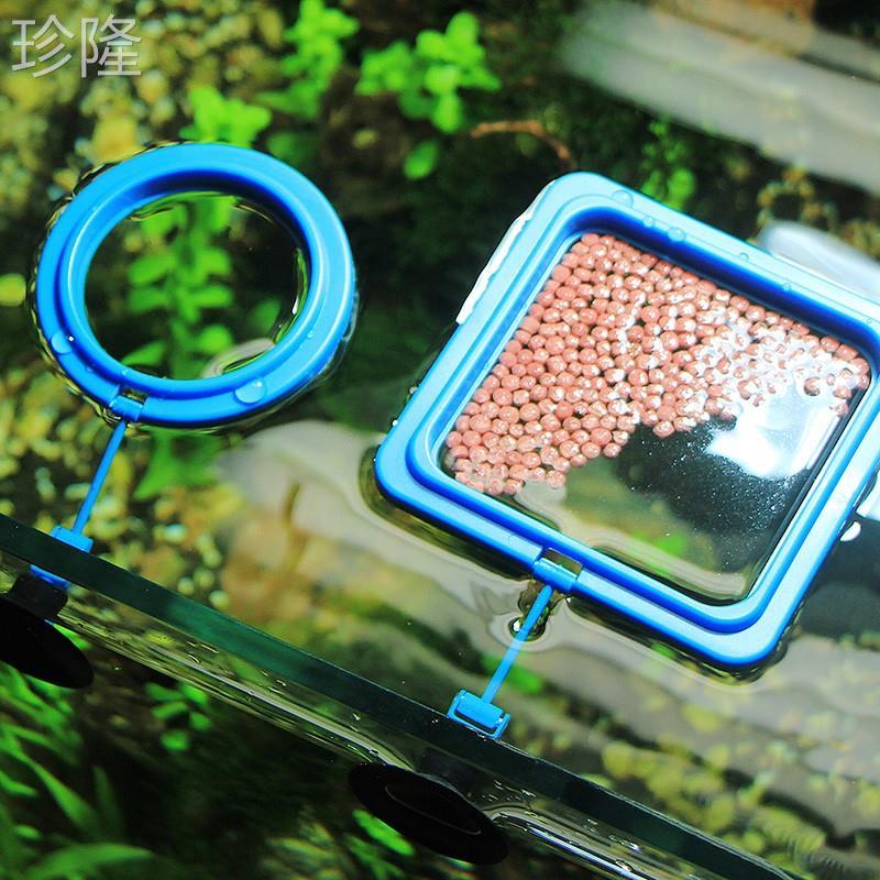 Alimentador de tanque de peixes anel de alimentação alimentador de aquário anel de alimentação pequeno tanque de peixes