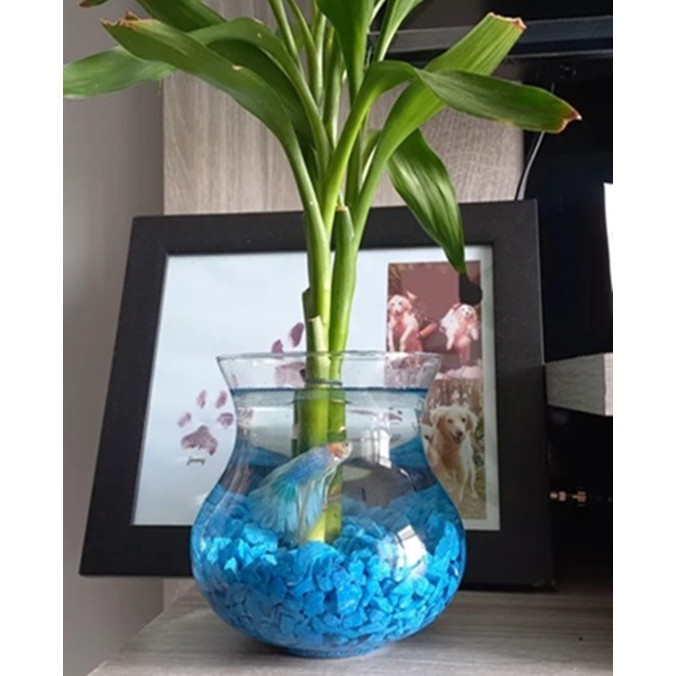 Vaso Coroa De Vidro Decoração Flores Castiçal Centro de Mesa Kit 2