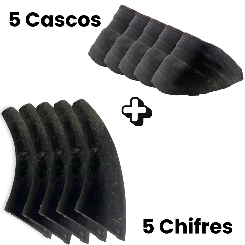 Kit 5 Cascos Bovino + 5 Chifres Bovino Natural Mordedor Para Cachorro Animal Pet
