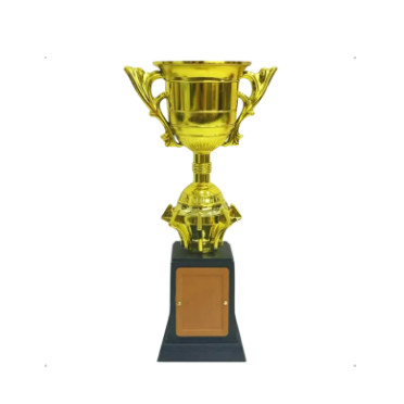 Troféu Taça 28 cm Premiação Esportiva Eventos Competições 1031 Clássico Dourado e Base Preta em Oferta na Shopee