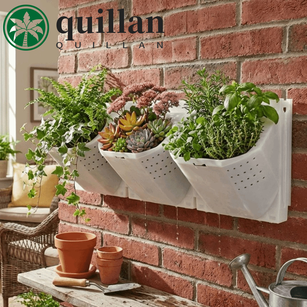 Vaso De Parede QUILLAN , Plantador Vertical De Plástico Com 2/3 Furos , Recipiente De Cultivo De Plantas De Drenagem De