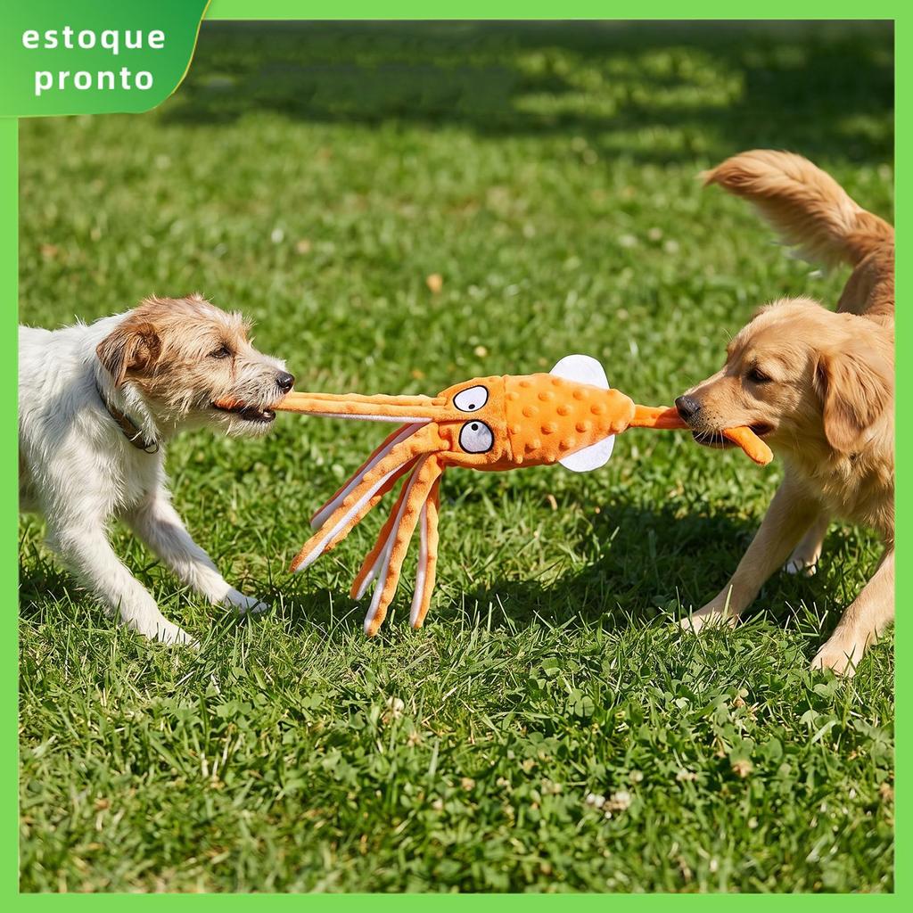 Cão Brinquedos Estridentes Lula Sem Recheio Crinkle De Pelúcia Para Filhote De Cachorro Dentição Interativo Mastigar Fer