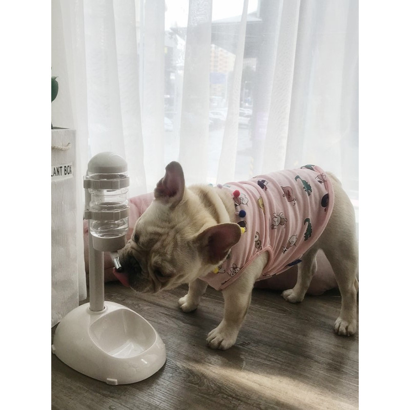 Fonte potável para animais de estimação, fonte potável para animais de estimação, levantamento de água potável para cães
