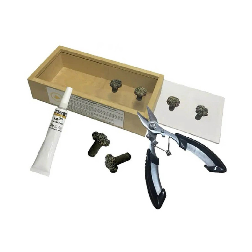 KIT SOMA CORAL PROPAGATION STANDARD (MDF CASE)
